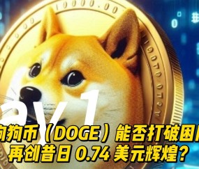 爱游戏app-ADA创下年内新高，上扬幅高达狗狗币%，还能追吗？的简单介绍